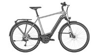 Bergamont E-Horizon Expert 500