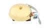CONTEC Classic Ding  Unisize gold