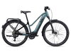 Liv Amiti E+ Pro silver pine M